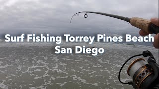 Surf Fishing Torrey Pines State Beach  Spotfin Barred Surfperch Opaleye and more [upl. by Amin]