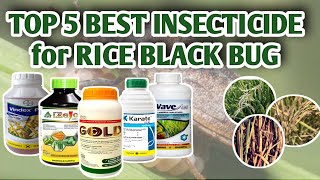 TOP 5 BEST INSECTICIDE FOR RICE BLACK BUG  Vlog13 [upl. by Amadus]