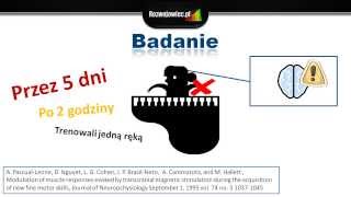 Jak za pomocą myśli zmienić swój mózg badanie [upl. by Heger]