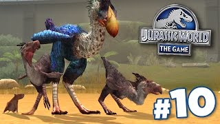 The Terror Birb  Jurassic World  Cenozoic Series  Ep10 HD [upl. by Kimon]