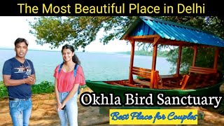 Okhla Bird Sanctuary In NoidaDelhiOpen NowComplete InformationTimingCouplesLocationSafely Etc [upl. by Ardra]