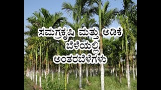 “Integrated farming amp Intercrops in Areca crops”ಸಮಗ್ರಕೃಷಿ ಮತ್ತು ಅಡಿಕೆ ಬೆಳೆಯಲ್ಲಿ ಅಂತರಬೆಳೆಗಳು [upl. by Thema886]