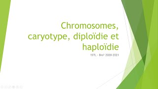 Chromosomes caryotype diploïdie et haploïdie [upl. by Ahsimal]