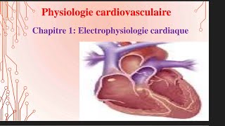 UE1 Physiologie CardioVasculaire 1 بالعربية  Electrophysiologie Cardiaque Partie 2 [upl. by Hyland]