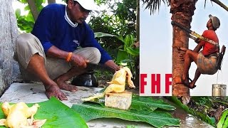 Palm Wine Chicken Curry Recipe  Toddy Neera Chicken in Village  Toddy Wine Neera Hen Meat Curry [upl. by Arobed170]