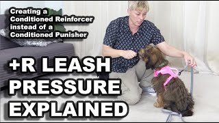 Leash Pressure trained with R EXPLAINED  Professional Dog Training [upl. by Gemoets]