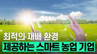 핫클립 농가들에게 최적의 재배 환경을 제공하는 스마트 농업 기업  YTN 사이언스 [upl. by Aderb582]