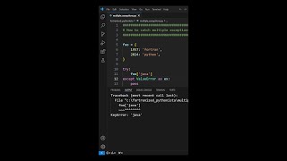 How to catch multiple exceptions python [upl. by Liauqram]