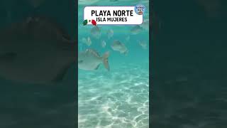 PLAYA NORTE  ISLA MUJERES  World Trips turismo viajes travel [upl. by Sergius]