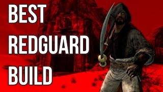 The Mercenary  Best Redguard Build  Skyrim Builds [upl. by Cardie479]