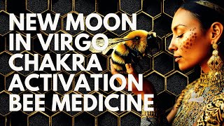 NEW MOON in Virgo 🌙 Meditation Chakra ACTIVATION and Spiritual Renewal 🌑✨ [upl. by Aracat]