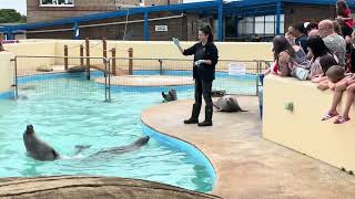 Natureland Seal Sanctuary Skegness youtube [upl. by Henrique]