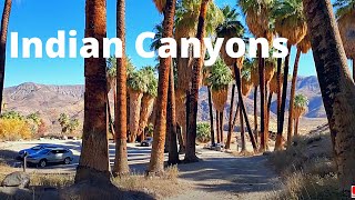 Walking around Indian Canyons Palm Springs CA 4K [upl. by Sabine]