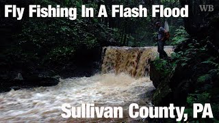 Fly Fishing In A Flash Flood Sullivan County PA  Wooly Bugged [upl. by Grand]