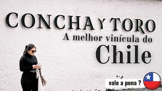 a melhor vinícula do chile   vlog  concha y toro [upl. by Kalil]