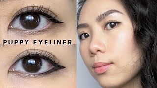 2 Ways to Wear PUPPY EYELINER  Best Eyeliner for SuperHooded Eyes amp Monolids Beginner Friendly [upl. by Idleman]