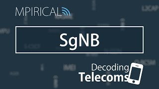 SgNB  Decoding Telecoms [upl. by Juline]