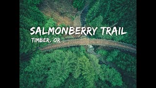 Abandoned Railroad Hike in Oregon [upl. by Jevon]