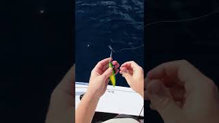 How I rig a jig fishing fish boat jigging [upl. by Dj]