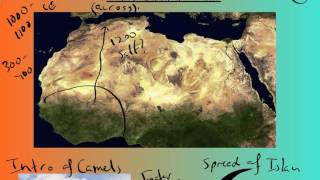 West Africa Trans Saharan Trade [upl. by Lewak]