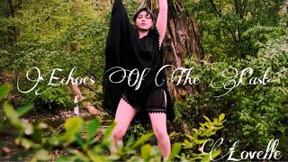 Echoes Of The Past by Lovelle  432hz [upl. by Callista]