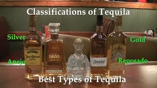 Classifications of Tequila Best Types of Tequila Difference Between Tequilas [upl. by Kele]