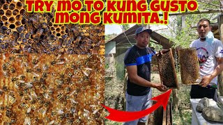 Paano Magsimula sa Honey Bee Farming Tips and Techniques [upl. by Amil]