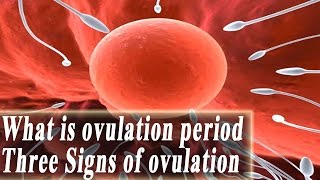 What is ovulation period – Signs of ovulation [upl. by Kcirtapnaes51]