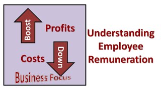 Understanding Employee Remuneration [upl. by Ekul545]