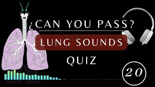 Name That Lung Sound Quiz  Normal and Abnormal lung sounds types respiratory [upl. by Eimmas95]