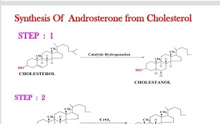 STRUCTURE ELUCIDATION OF ANDROSTERONEANDROSTERONE [upl. by Nolasba]