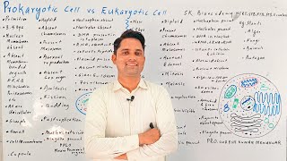 Prokaryotic cell vs Eukaryotic cell HindiUrdu [upl. by Rania]