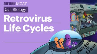 Retrovirus Life Cycles Understanding HIV Full Lesson  Sketchy MCAT [upl. by Nyrraf]