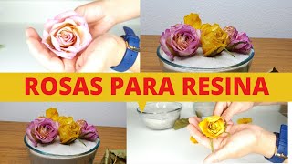 ROSAS SECAS EN 3 MINUTOS [upl. by Rexferd]