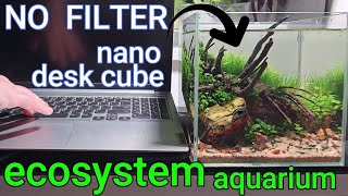 No filter ecosystem aquarium setup Nano desk cube step by step aquascaping tutorial [upl. by Aserehtairam]