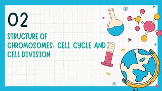 STRUCTURE OF CHROMOSOMES CELL CYCLE AND CELL DIVISION CHAPTER 2 CLASS 10 ICSE [upl. by Ennybor]