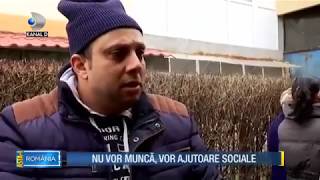 Un asistat social refuza sa munceasa Sunt vegetarian mananc iarba [upl. by Aneladdam26]