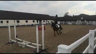 Teagan Griffin Pony Club test C Riding Iggy at Cottagers Plot Equestrian Centre Pony Club [upl. by Ahseela]