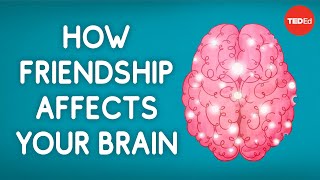 How friendship affects your brain  Shannon Odell [upl. by Landis361]