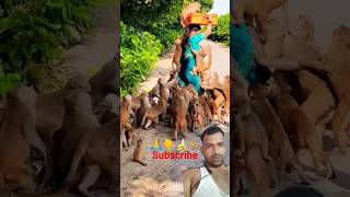 मंकी ने औरत से खाने के लिए केले जाते झपटे funny monkey shorts greenscreen [upl. by Gomer]