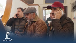 Tattersalls Autumn Horses in Training Sale Day 1 Review 2023 [upl. by Rento]