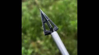 Broadhead Performance Test Discover the Best for Your Huntarrowheads hunting outdoorsshorts [upl. by Frederich758]