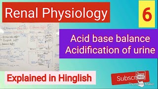 Acid base balancerenal acidification of urinerenal physiologymbbs [upl. by Rus]