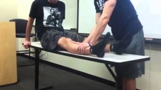 Sweep Test and Ballotable Patella Test [upl. by Akenahs403]