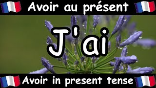 The French verb avoir in the present tense [upl. by Radie755]