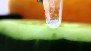 hygroscopic salt demonstration [upl. by Searcy]