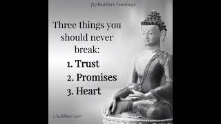 BUDDHA QUOTES   POSITIVE THOUGHTS [upl. by Maram443]