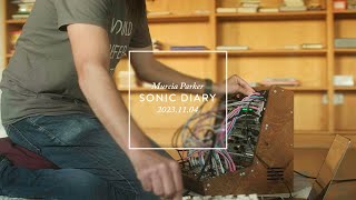 Sonic Diary  Vermona PerFourmer  Mannequins Mangrove  XOR NerdSEQ  Strymon Starlab amp Magneto [upl. by Girand]