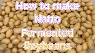 how to make Natto（fermented soybeans [upl. by Rebmik]