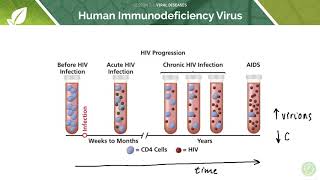 AQA GCSE Biology Viral Diseases [upl. by Fries277]